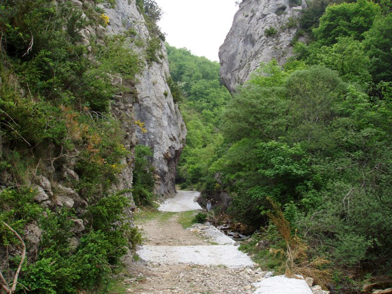 Elkoatz inguruko estugunea