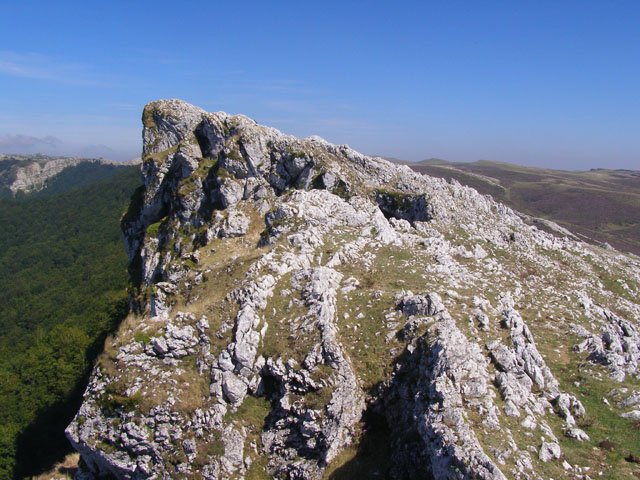 Eskalaborroko tontorra