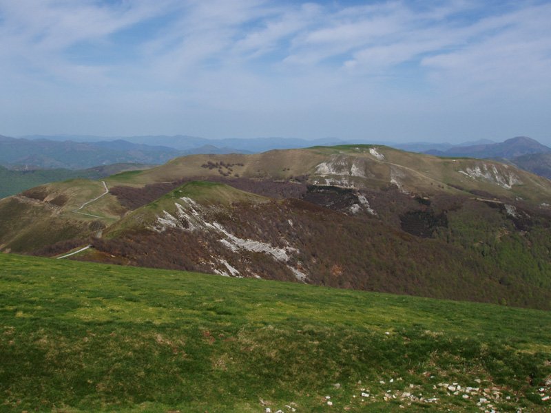Astobizkar Ortzantzurietako mazeletatik.
