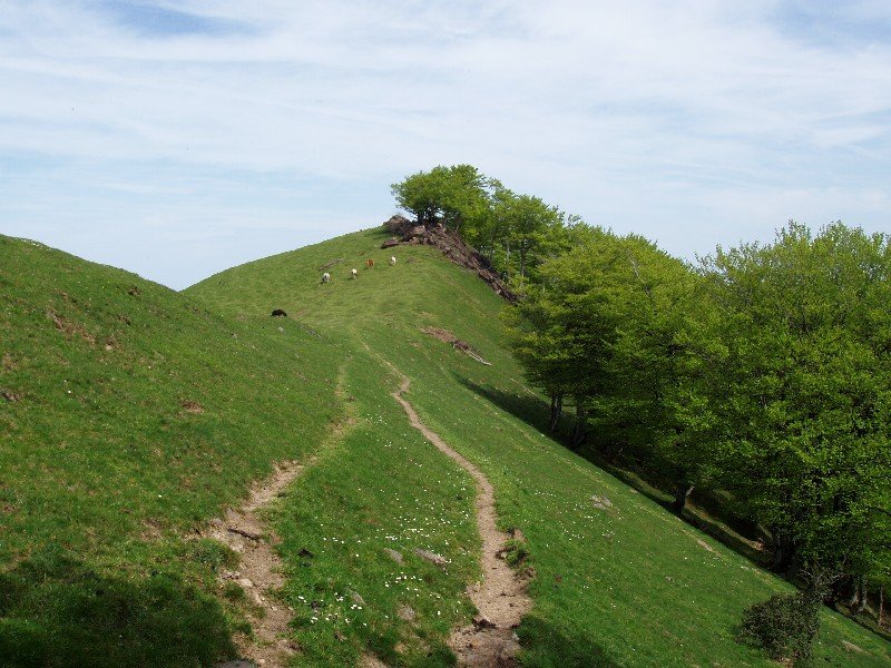 Ekaitzako azken metroak