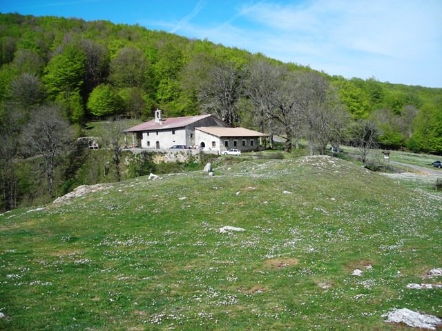 Santa  Teodosia  trikuharria 