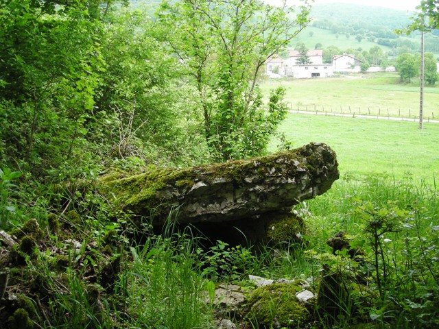 Pagamendiko trikuharria , Oderitzen