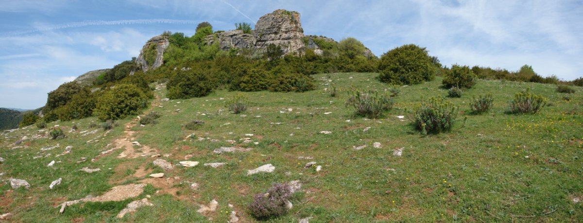 Ekialdeko bizkarreko pasarte bat