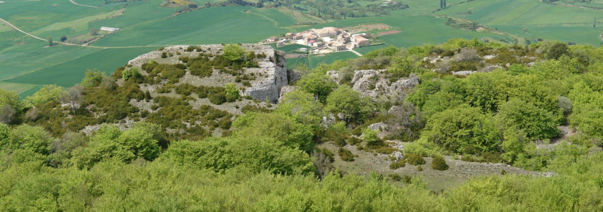 Muniain eta IMko panoramika