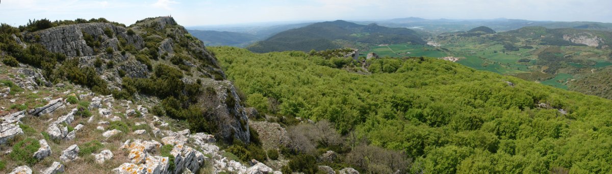 Muniain aldera begira