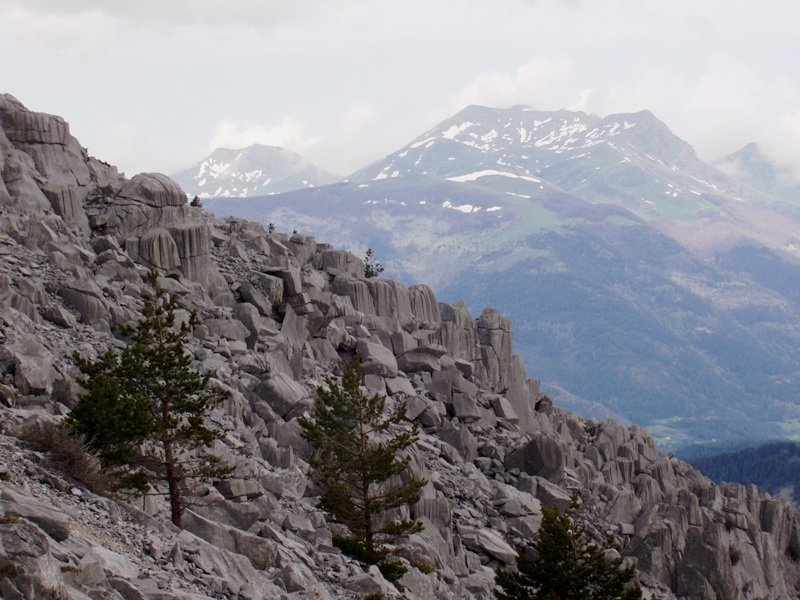 Higadurak harkaitzari emandako eite bitxiak