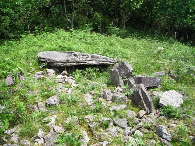 Igoingo Lepoa 1-eko trihuharria