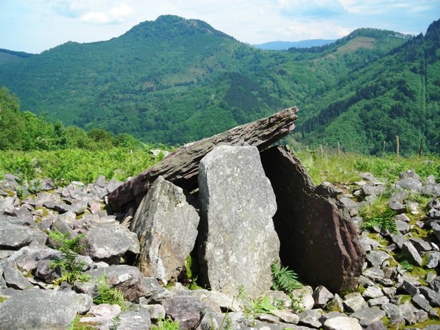Sagastietako Lepoa 1-eko trikuharria