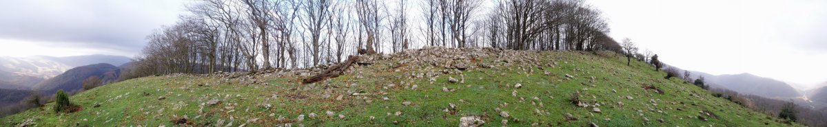 Mendebaldeko bizkarra