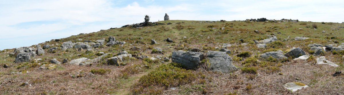 Tontorra eta inguruak