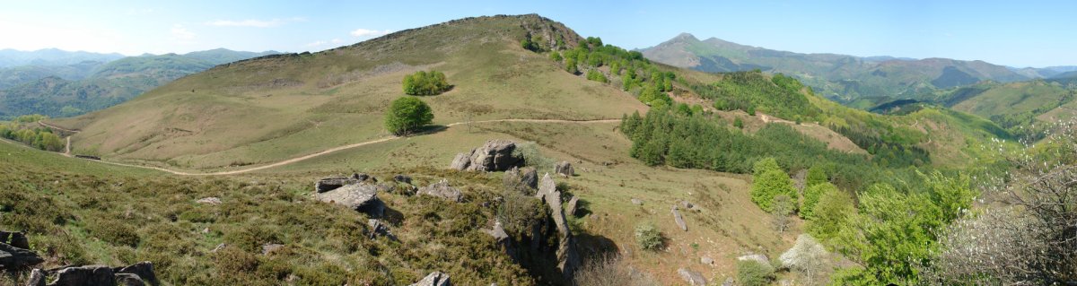 Meate aldetik ikusita