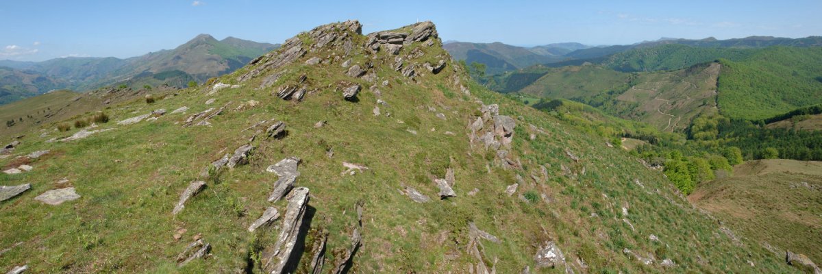 Tontorra HEko bizkarretik