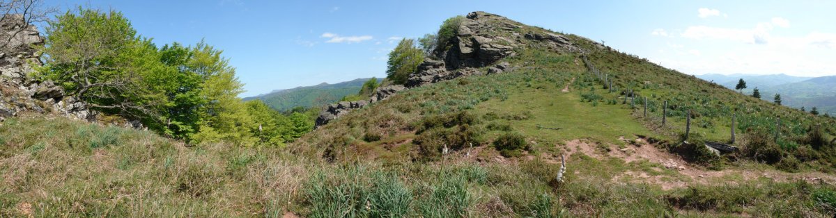 HMko bizkarreko pasarte bat