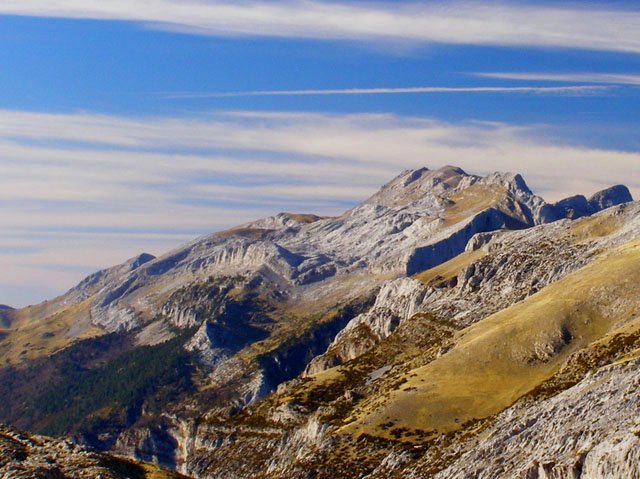 Plandaniztik ikusita