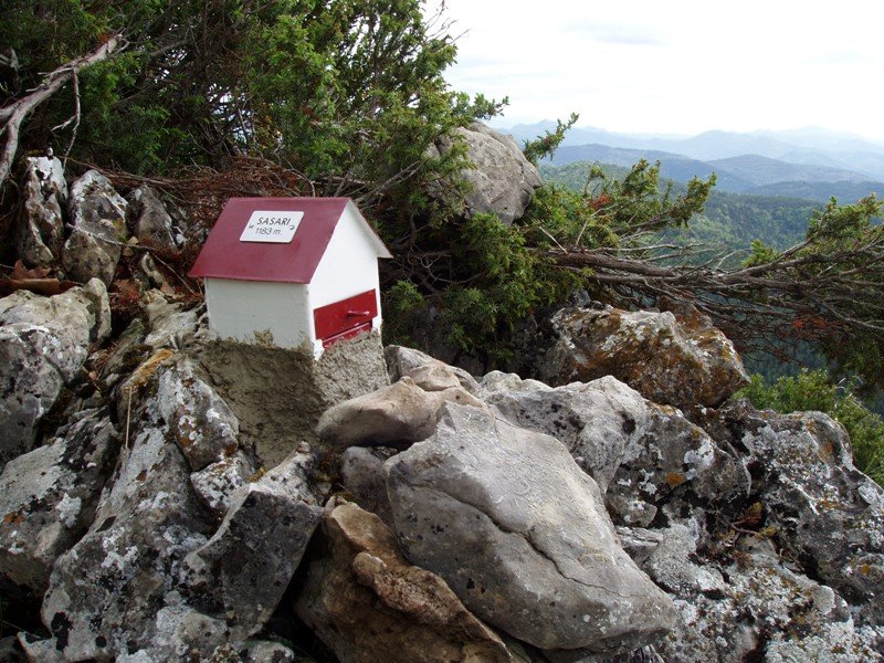 Sasariko txartelontzi berria