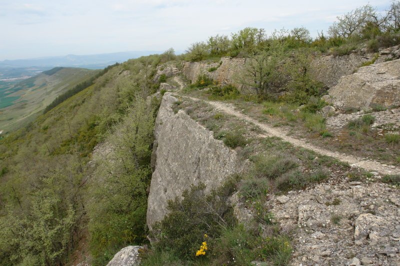 Bizkarreko pasarte bat, Mendebaldera begira