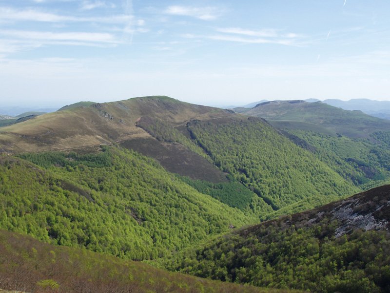 Txangoa,Mendimotzetik ikusita