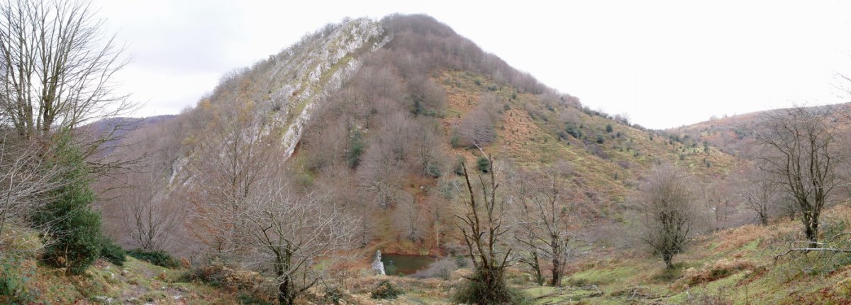 Baiarrate haitzartea