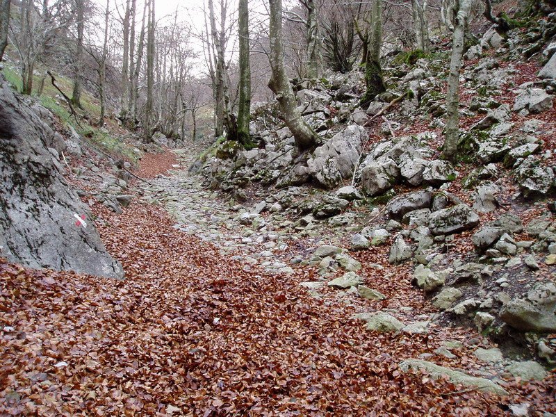 Baiarrate haitzarteko bidea