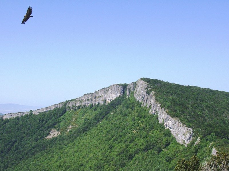 Larrogain Aintzioatik