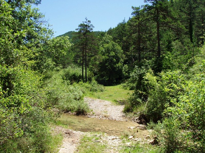 Bideak Pintano erreka zeharkatzen du behin eta berriz