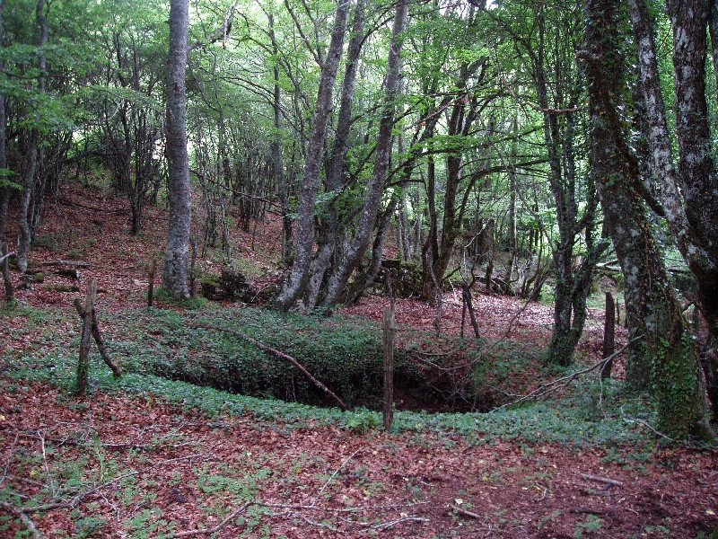 Leizea Artetako mendateko bidean