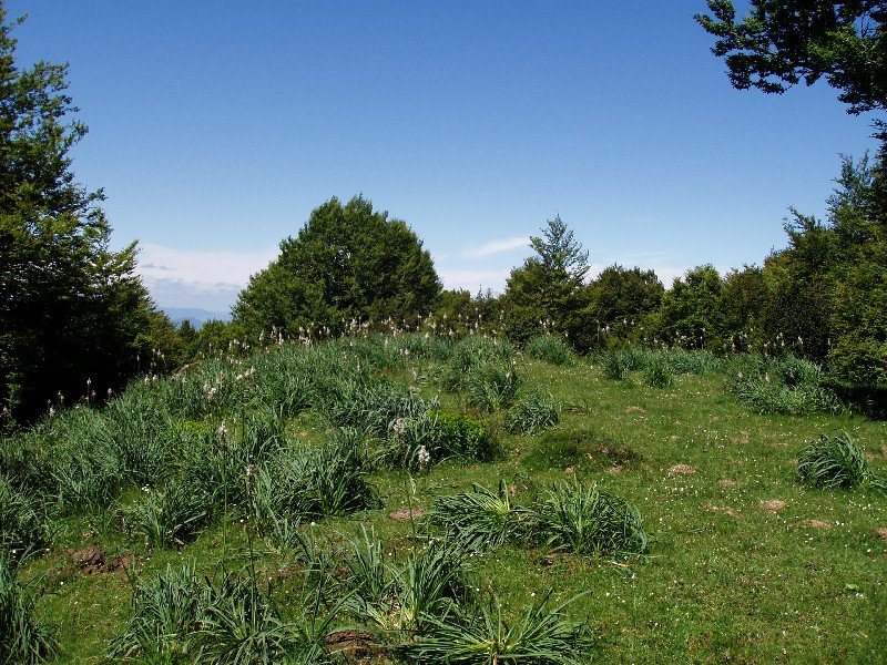 Arnazu (Areta)ko gailurra (1353m)