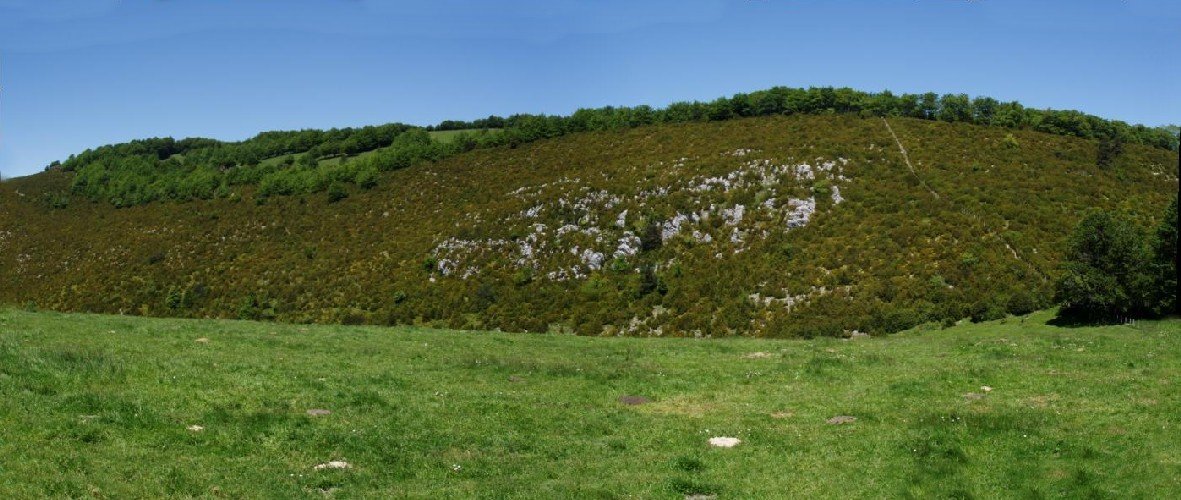 Borrokoxko Badarreko zelaietatik