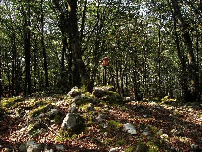 Larrazpilgo gailurra