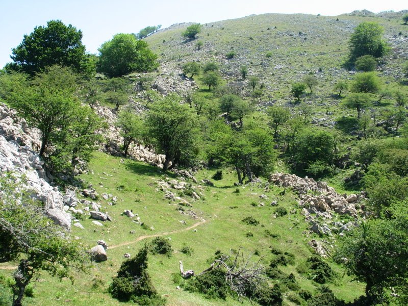 Artaun eta Leungana arteko bidea