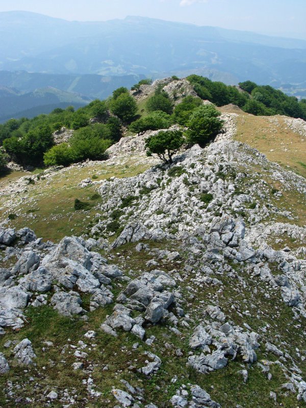 Hegoaldeko bizkarra tontorretik