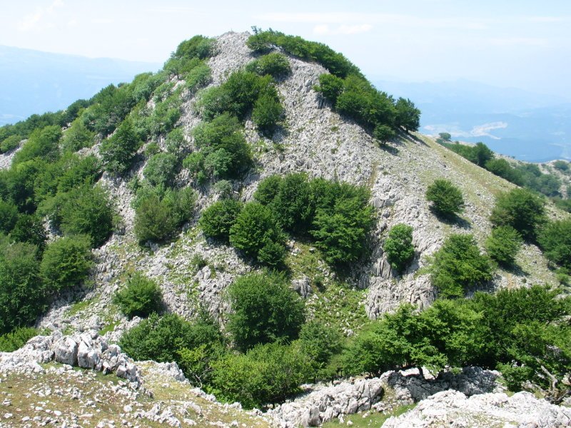 Artatxaganetik ikusita