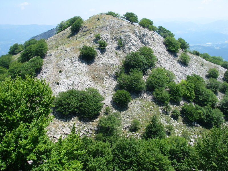 Artatxagane Leungana aldetik