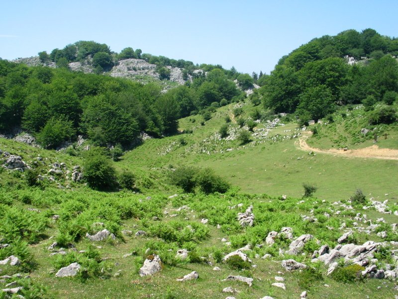 Mugarrikolandako inguruak