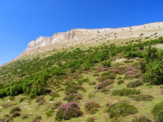 Atazabaletik ikusita