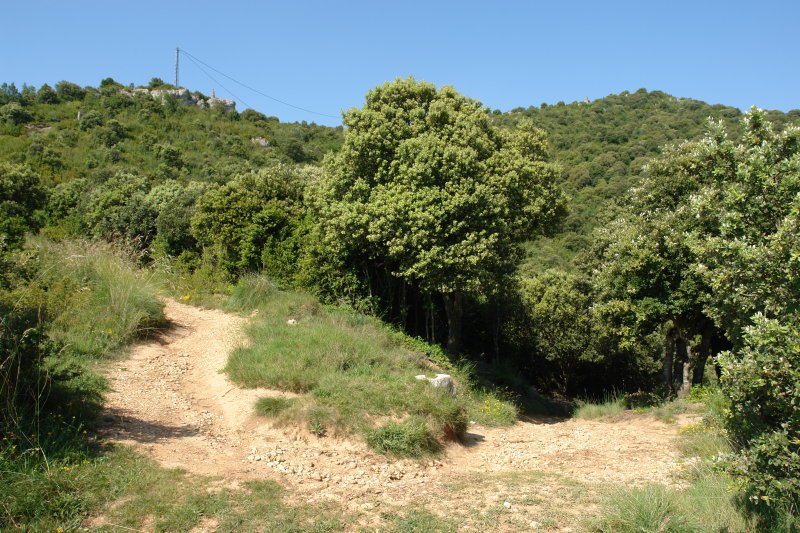 Igoerako bideko pasarte bat