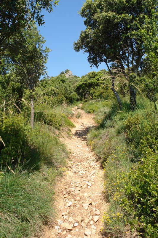 Ohiko bidea, Ekialdeko bizkarrean gora.