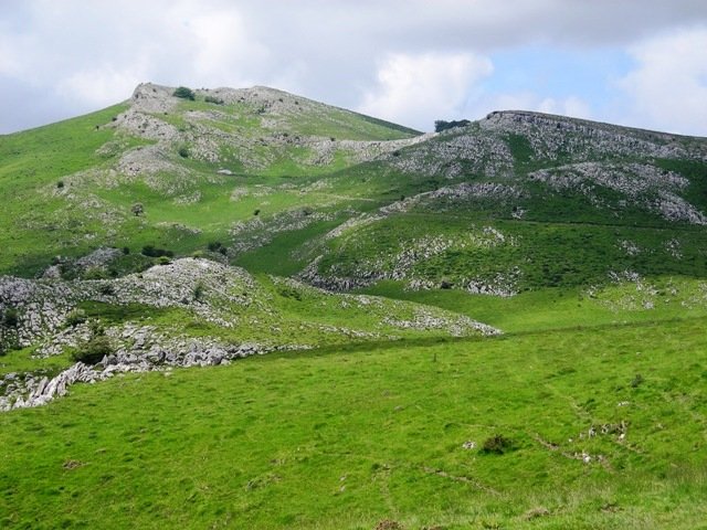 Leizaundi , Organbideko lepotik
