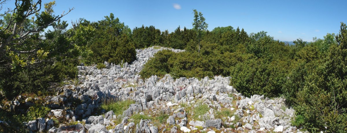 Tontorraren inguruak