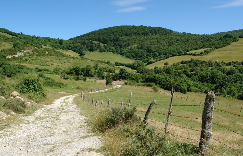 Aintzioako bidetik ikusita