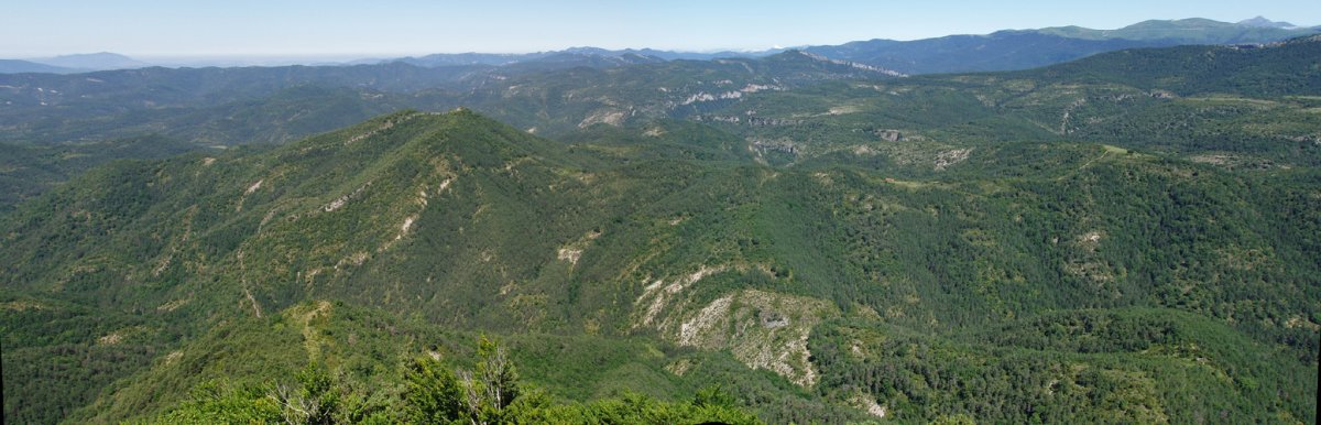 Txitxirimuria, Kukulatik ikusita