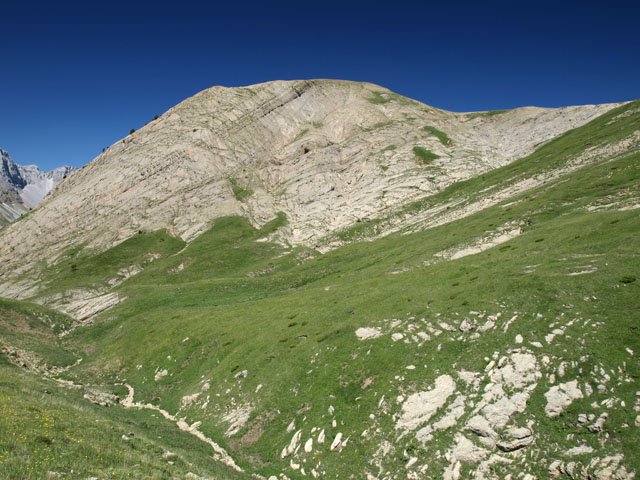 Chipeta Baxo tontorra