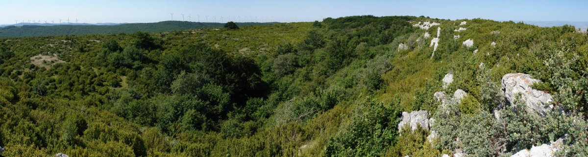 Gainaldeko ikuspegi zabala ekialdetik