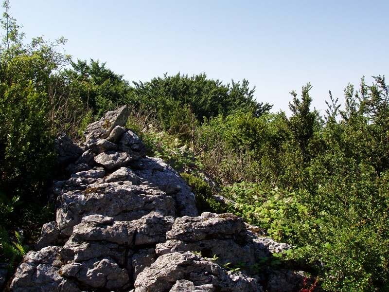 Irumugako gailurra (1132m)