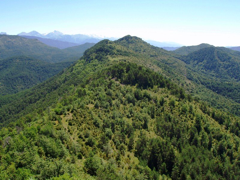 Argaraieta Kukulako gailurretik