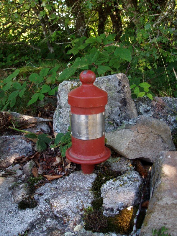 Tx. Nanki GMk jarritako buzoia