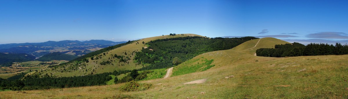 Ekialdeko abodiko gainaldea