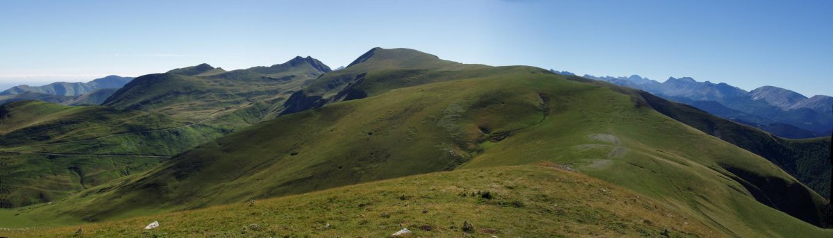 Otsogorrigaina Gaztarritik