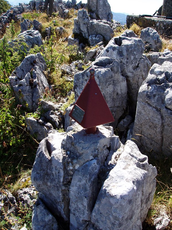 Tx. Nanki GMk jarritako buzoia