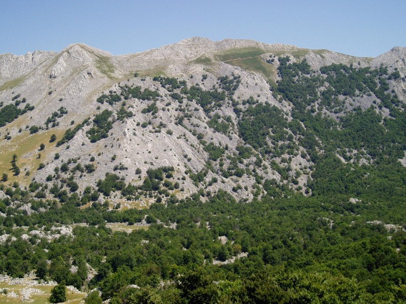 Peruaitzetik ikusita